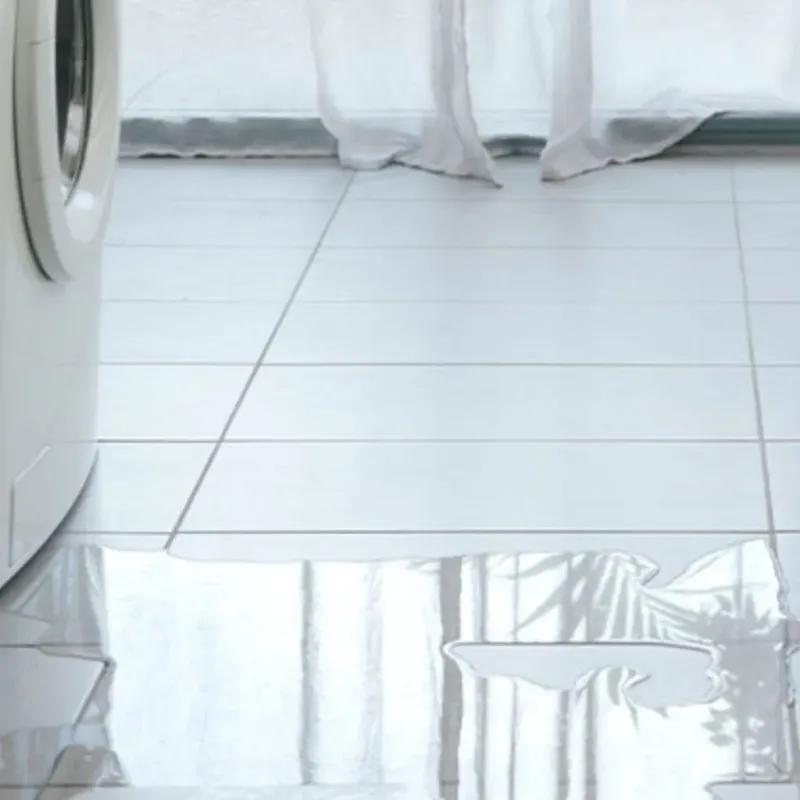 Appliance Leak Cleanup in Odessa, FL