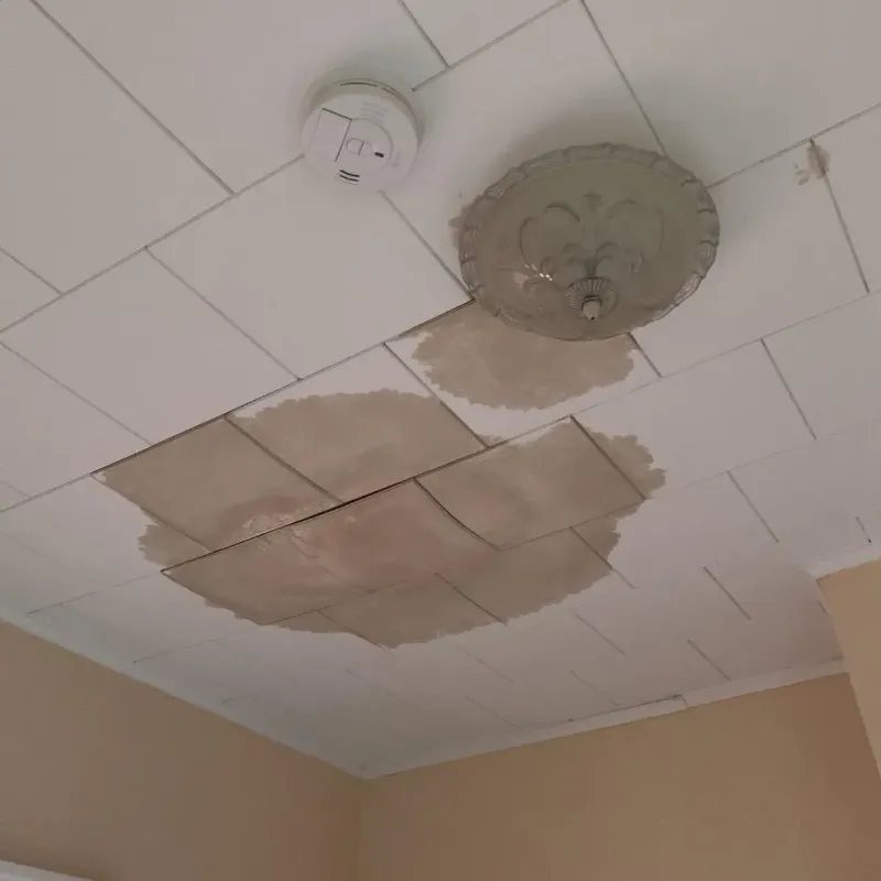 Ceiling Water Damage Repair in Odessa, FL